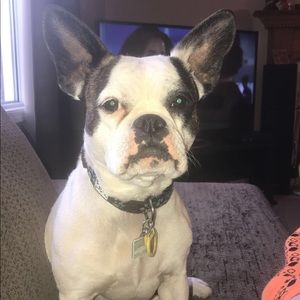 Meet your Posher, Kathlynn